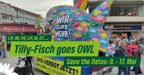 Tilly-Fisch goes OWL